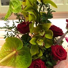 Orchid gift arrangement