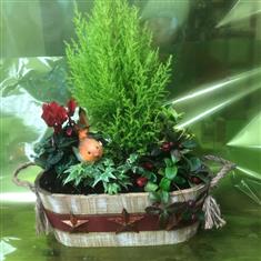 Robin redbreast oval planter