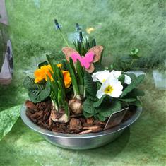 Patio Bowl