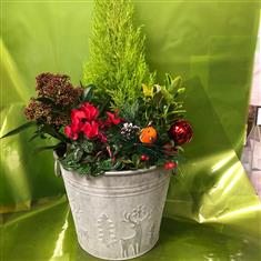 Beautiful seasonal planter