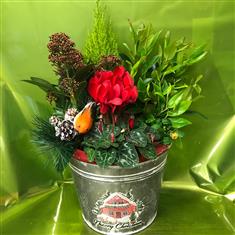 Christmas gift planter