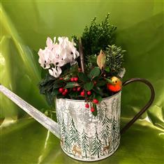 Outdoor watering can